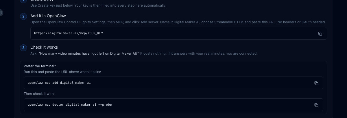 The API tab in Digital Maker AI Account Settings showing the OpenClaw connection steps, including the Add server instructions and test question